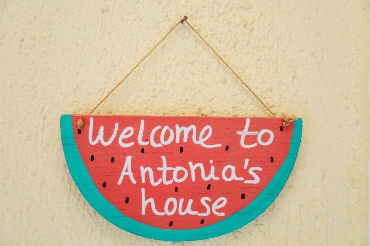 Apartamento Antonia House Skiathos Exterior foto